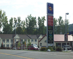 Dansville Village Mart