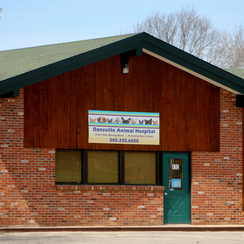 Dansville Animal Hospital