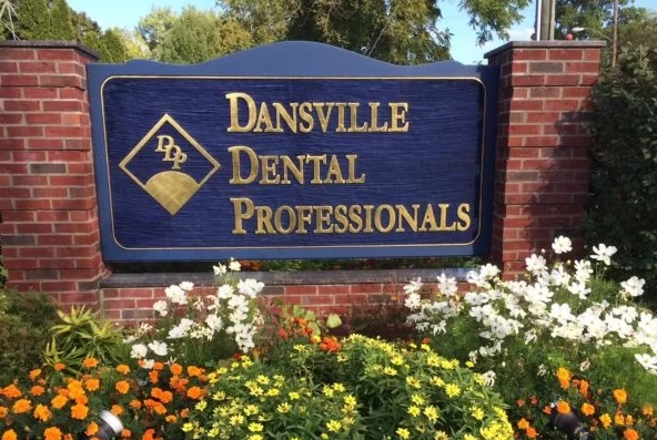 Dansville Dental Professionals, LLP